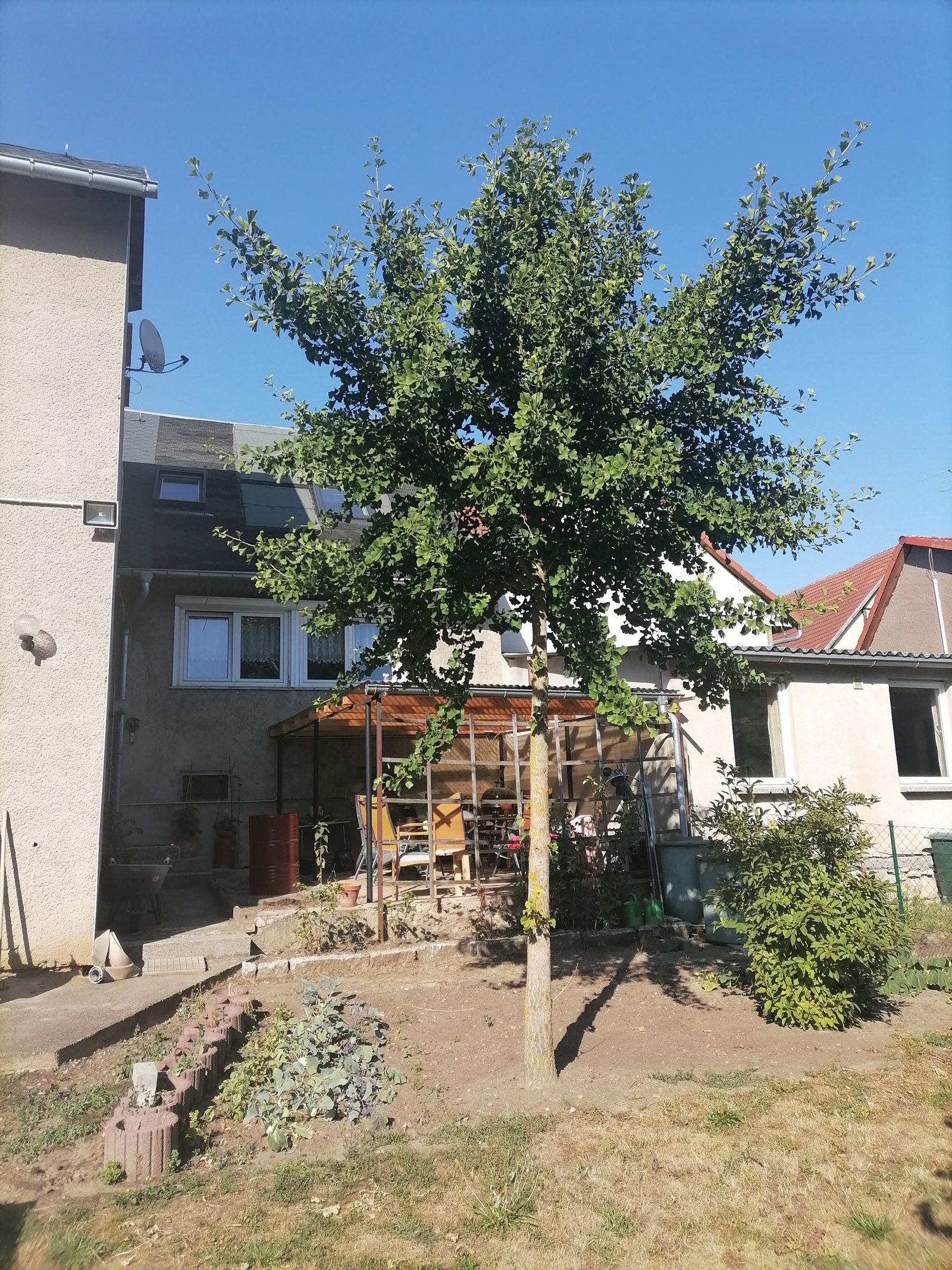Foto der Immobilie (11406)