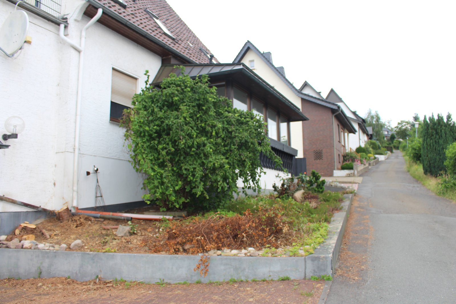 Foto der Immobilie (13350)