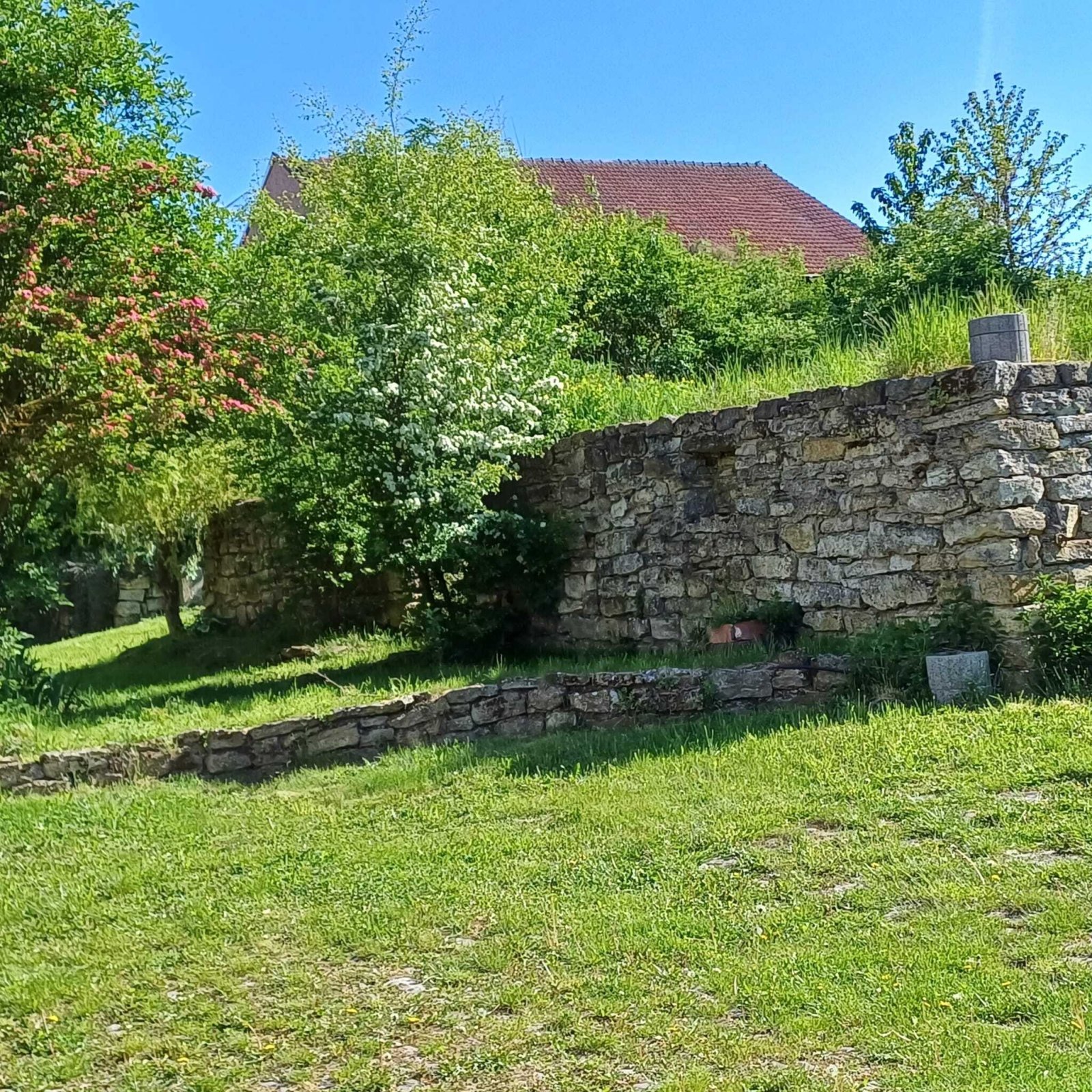 Foto der Immobilie (13257)